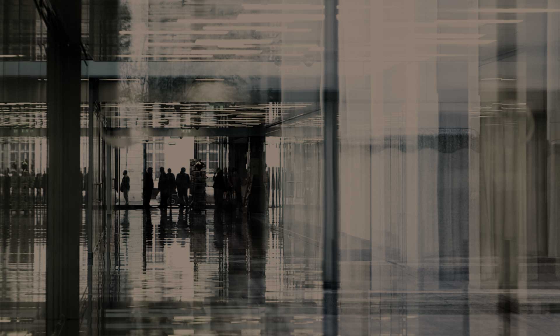 Myrisoph Branding Office Interior